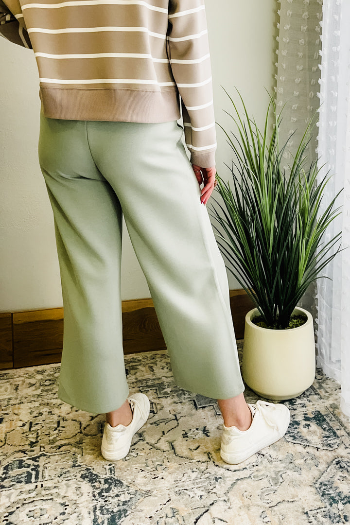 Women's elevated sweatpants made from soft scuba material sage green back